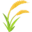 🌾